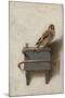 The Goldfinch, 1654-Carel Fabritius-Mounted Giclee Print