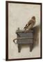 The Goldfinch, 1654-Carel Fabritius-Framed Giclee Print