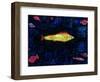 The Goldfish, 1925-Paul Klee-Framed Giclee Print