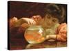 The Goldfish Bowl-Thomas Benjamin Kennington-Stretched Canvas