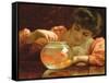 The Goldfish Bowl-Thomas Benjamin Kennington-Framed Stretched Canvas