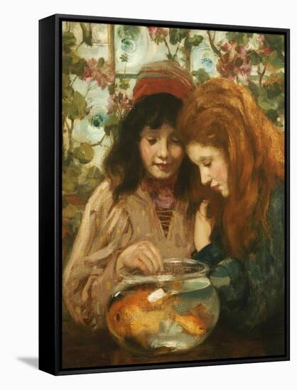 The Goldfish Bowl-William Stewart Macgeorge-Framed Stretched Canvas