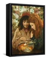 The Goldfish Bowl-William Stewart Macgeorge-Framed Stretched Canvas