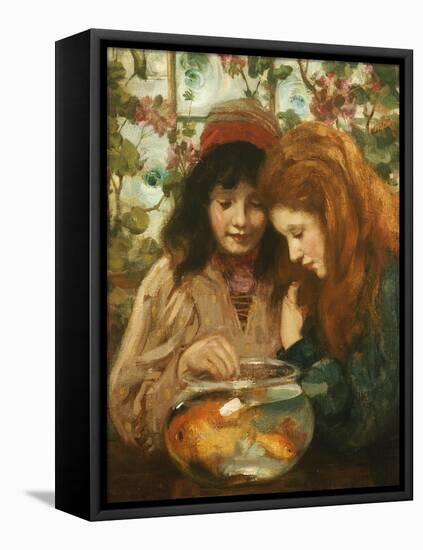 The Goldfish Bowl-William Stewart Macgeorge-Framed Stretched Canvas