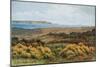 The Golf Links, Barton-On-Sea-Alfred Robert Quinton-Mounted Giclee Print