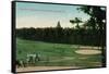 The Golf Links from Country Club, Augusta, Georgia, C1910-null-Framed Stretched Canvas