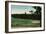 The Golf Links from Country Club, Augusta, Georgia, C1910-null-Framed Giclee Print