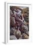 The Good Shepherd, Illustration for 'The Life of Christ', C.1886-94-James Tissot-Framed Giclee Print