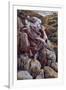 The Good Shepherd, Illustration for 'The Life of Christ', C.1886-94-James Tissot-Framed Giclee Print