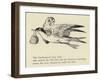 The Goodnatured Grey Gull-Edward Lear-Framed Giclee Print
