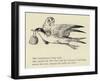 The Goodnatured Grey Gull-Edward Lear-Framed Giclee Print