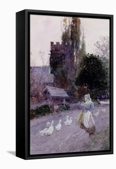 The Goose Girl-James Mackay-Framed Stretched Canvas