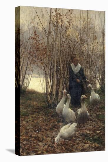 The Goose Maiden-Brittany, 1881-Alfred Edward Emslie-Stretched Canvas