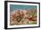 'The Gordon Highlanders. How Piper Findlater won the V.C. at Dargai', 1897, (1939)-Unknown-Framed Premium Giclee Print