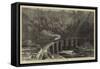 The Gorge of Metlac, and Bridge on the Vera Cruz and Mexico Railway-William Henry James Boot-Framed Stretched Canvas