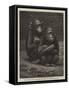 The Gorilla and Chimpanzee Exhibited at the Crystal Palace-null-Framed Stretched Canvas