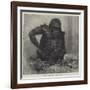 The Gorilla at the Zoological Society's Gardens-Charles Whymper-Framed Giclee Print