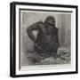 The Gorilla at the Zoological Society's Gardens-Charles Whymper-Framed Giclee Print