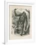 The Gorilla, Frontispiece for Explorations and Adventures in Equatorial Africa by Paul B Du Chaillu-null-Framed Giclee Print