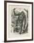 The Gorilla, Frontispiece for Explorations and Adventures in Equatorial Africa by Paul B Du Chaillu-null-Framed Giclee Print