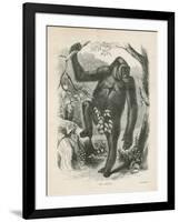 The Gorilla, Frontispiece for Explorations and Adventures in Equatorial Africa by Paul B Du Chaillu-null-Framed Giclee Print