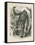 The Gorilla, Frontispiece for Explorations and Adventures in Equatorial Africa by Paul B Du Chaillu-null-Framed Stretched Canvas