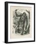 The Gorilla, Frontispiece for Explorations and Adventures in Equatorial Africa by Paul B Du Chaillu-null-Framed Giclee Print