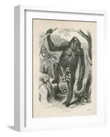 The Gorilla, Frontispiece for Explorations and Adventures in Equatorial Africa by Paul B Du Chaillu-null-Framed Giclee Print