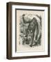 The Gorilla, Frontispiece for Explorations and Adventures in Equatorial Africa by Paul B Du Chaillu-null-Framed Giclee Print