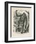 The Gorilla, Frontispiece for Explorations and Adventures in Equatorial Africa by Paul B Du Chaillu-null-Framed Giclee Print