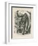 The Gorilla, Frontispiece for Explorations and Adventures in Equatorial Africa by Paul B Du Chaillu-null-Framed Giclee Print