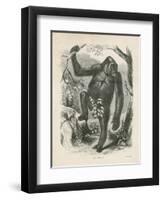 The Gorilla, Frontispiece for Explorations and Adventures in Equatorial Africa by Paul B Du Chaillu-null-Framed Premium Giclee Print