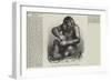 The Gorilla Pongo, at the Royal Aquarium, Westminster-null-Framed Giclee Print