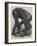 The Gorilla-null-Framed Giclee Print