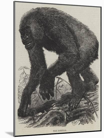 The Gorilla-null-Mounted Giclee Print