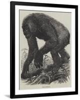 The Gorilla-null-Framed Giclee Print