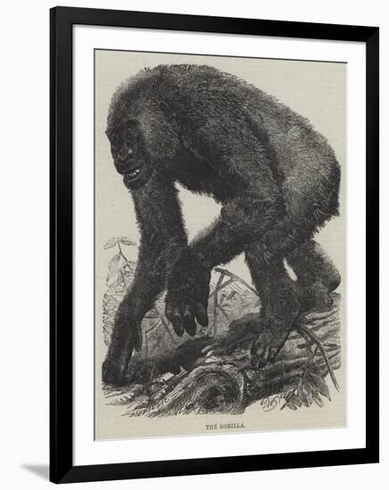 The Gorilla-null-Framed Giclee Print