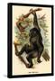 The Gorilla-G.r. Waterhouse-Framed Stretched Canvas