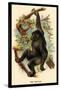 The Gorilla-G.r. Waterhouse-Stretched Canvas