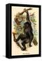 The Gorilla-G.r. Waterhouse-Framed Stretched Canvas