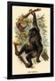 The Gorilla-G.r. Waterhouse-Framed Art Print