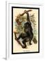 The Gorilla-G.r. Waterhouse-Framed Art Print