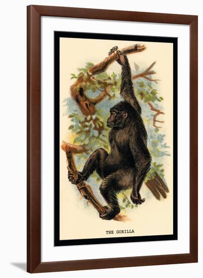 The Gorilla-G.r. Waterhouse-Framed Art Print