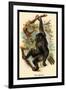 The Gorilla-G.r. Waterhouse-Framed Art Print