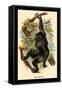 The Gorilla-G.r. Waterhouse-Framed Stretched Canvas