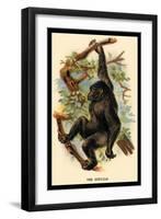 The Gorilla-G.r. Waterhouse-Framed Art Print