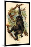 The Gorilla-G.r. Waterhouse-Mounted Art Print