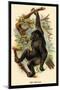 The Gorilla-G.r. Waterhouse-Mounted Art Print