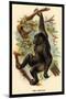 The Gorilla-G.r. Waterhouse-Mounted Art Print