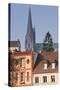 The Gothic Chartres Cathedral-Julian Elliott-Stretched Canvas